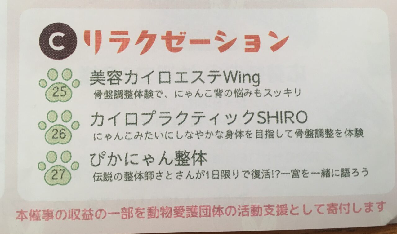 NEKO MARUKE 第1回～さくさ咲く～のチラシ