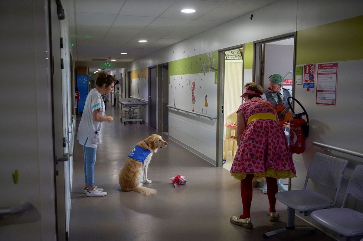 虐待を受けた子どもたちのための病棟にいる介助犬=2024年10月、フランス・オルレアン/Guillaume Souvant/AFP/Getty Images
