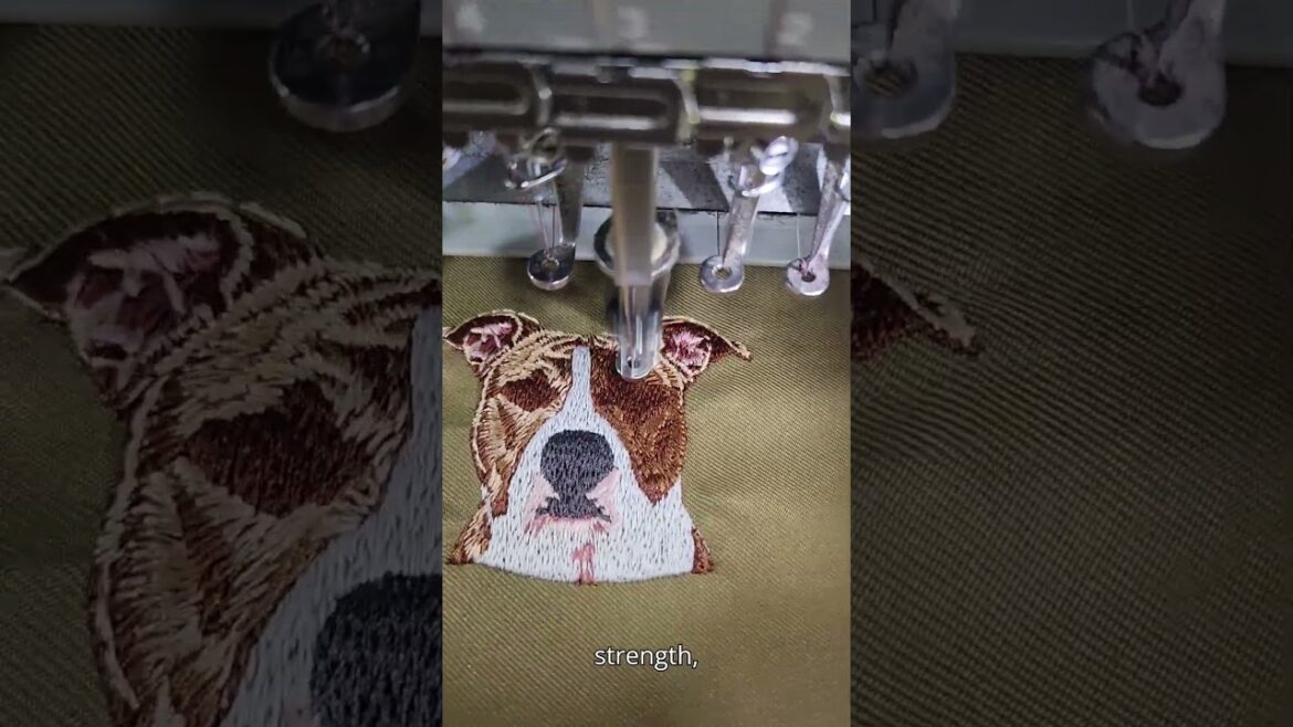 American Staffordshire Terrier embroidery