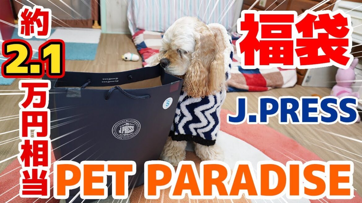 2021年ペットパラダイスJ.PRESS犬用福袋を開封したら中身が凄すぎた！！！