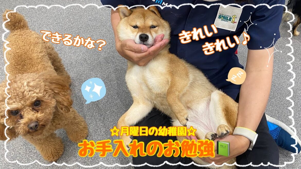 【幼稚園】6月始め!月曜日の幼稚園(万代店) 【幼稚園】6月始め!月曜日の幼稚園(万代店)