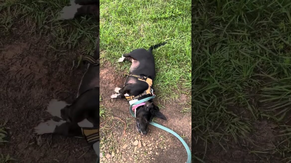 Charlie Breaks Down,  Part 1