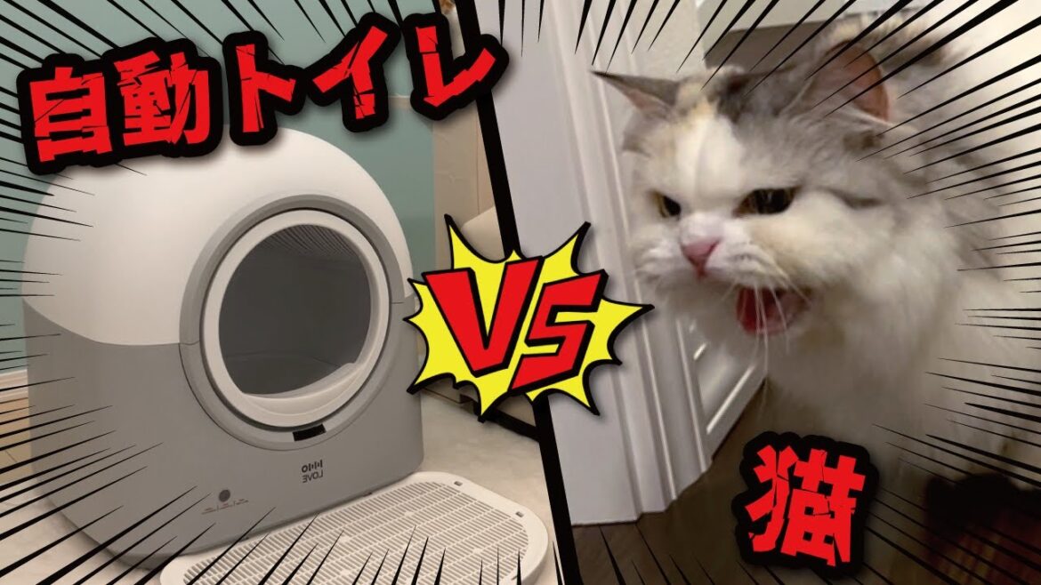 機械が大嫌いな猫を自動猫トイレに入れようとしたらまさかの結果に…！！【関西弁でしゃべる猫】【猫アテレコ】