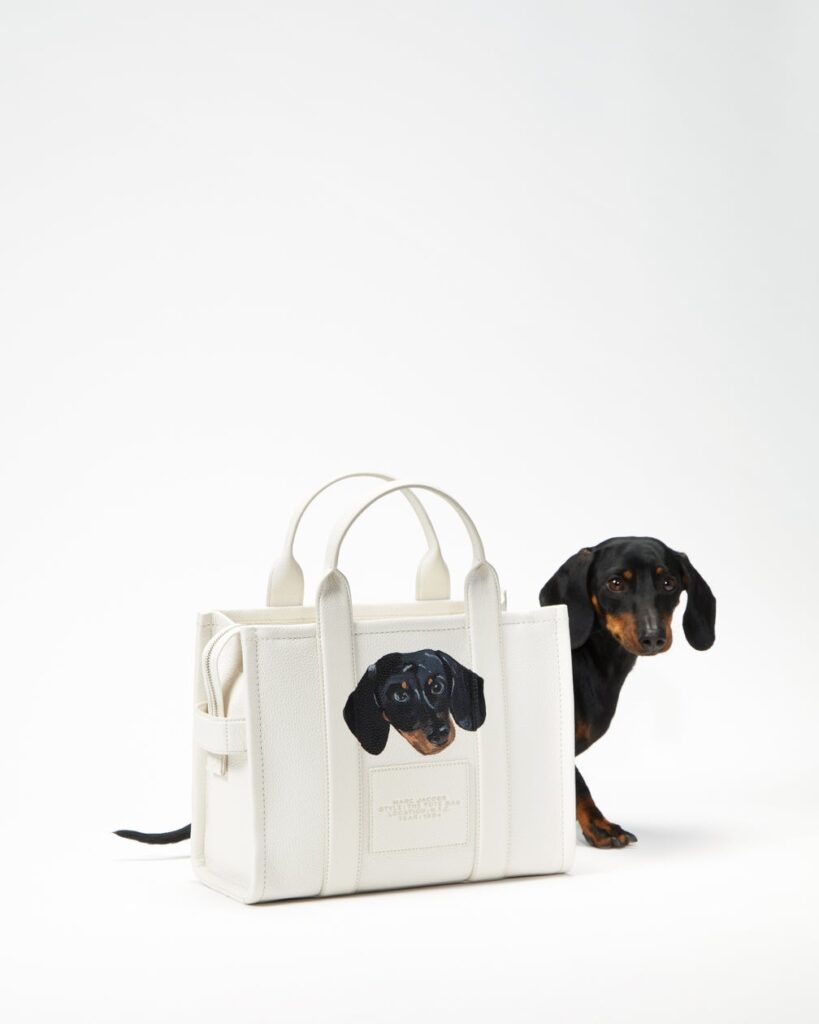 【マーク ジェイコブス】大切なペットのポートレートをサービスで描く「BARK JACOBS」を渋谷パルコ店と三越銀座店で同時開催！ | マーク ジェイコブス ジャパン株式会社のプレスリリース