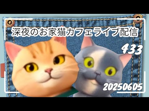 深夜のお家猫カフェライブ配信 433 深夜のお家猫カフェライブ配信 433