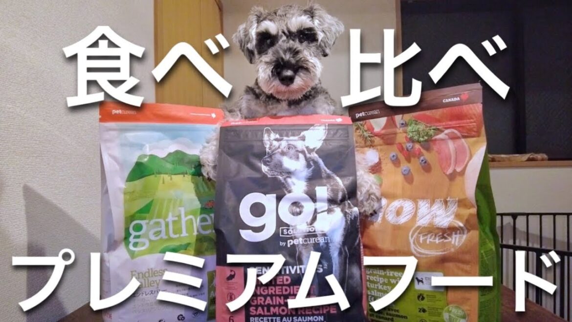 プレミアムフード3種食べ比べの結果が極端だった | ミニチュアシュナウザー