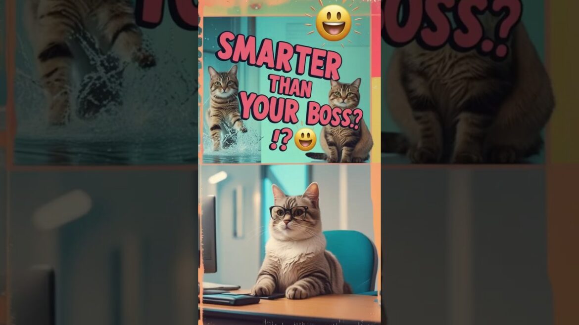 These Cats Are Smarter Than Your Boss 😹💼