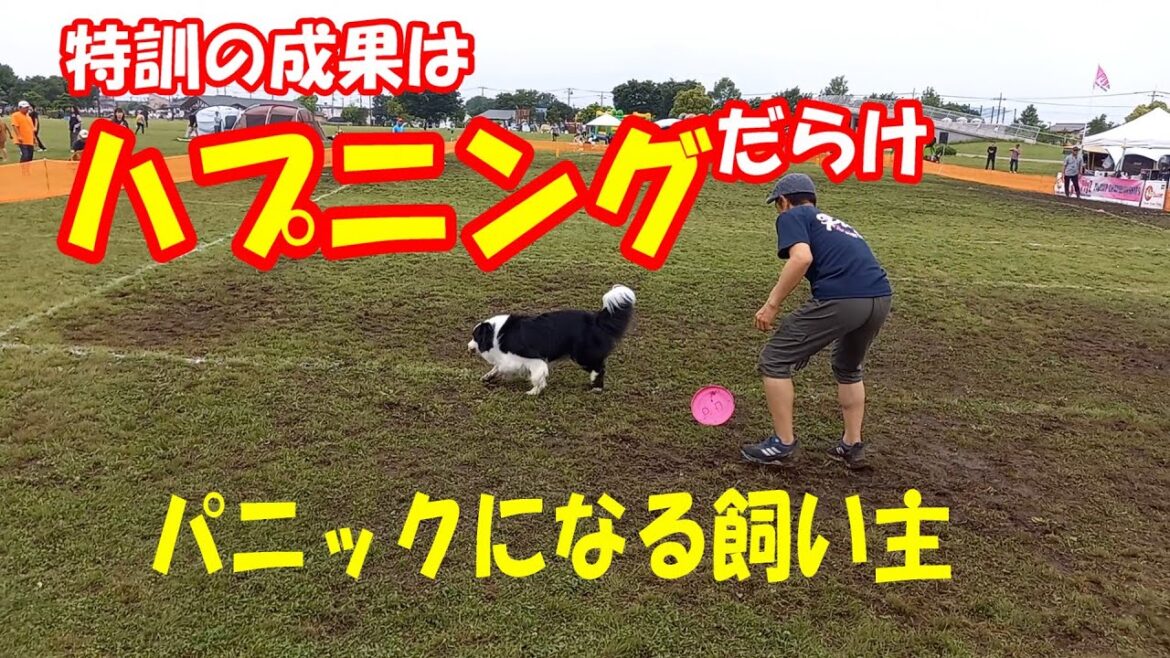 特訓の成果はハプニングだらけ　パニックになる飼い主
