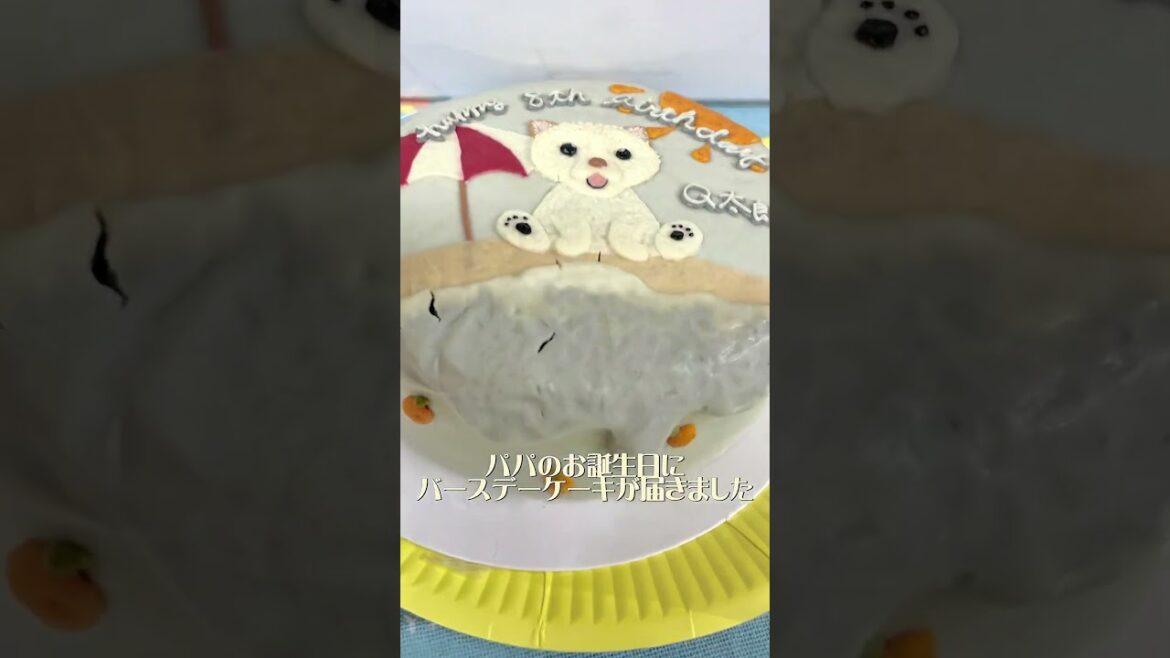 ワンちゃん用バースデーケーキしか見ていない誕生日犬