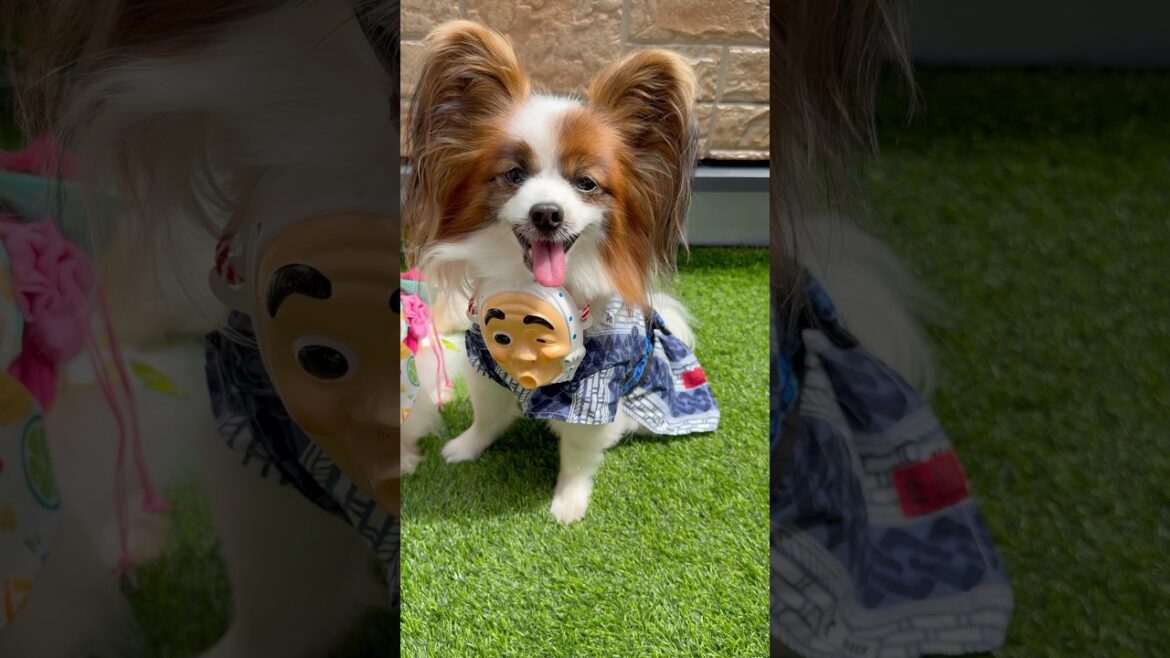 一緒にお祭り行ってきた #shorts