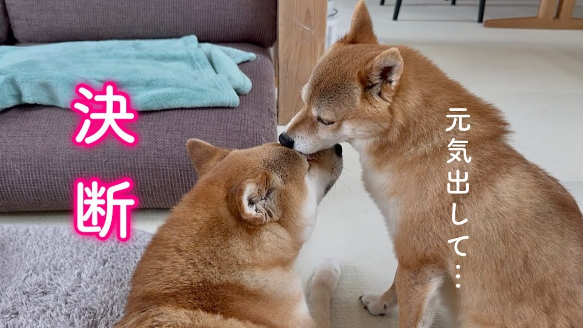 富の為にある決断しました…！