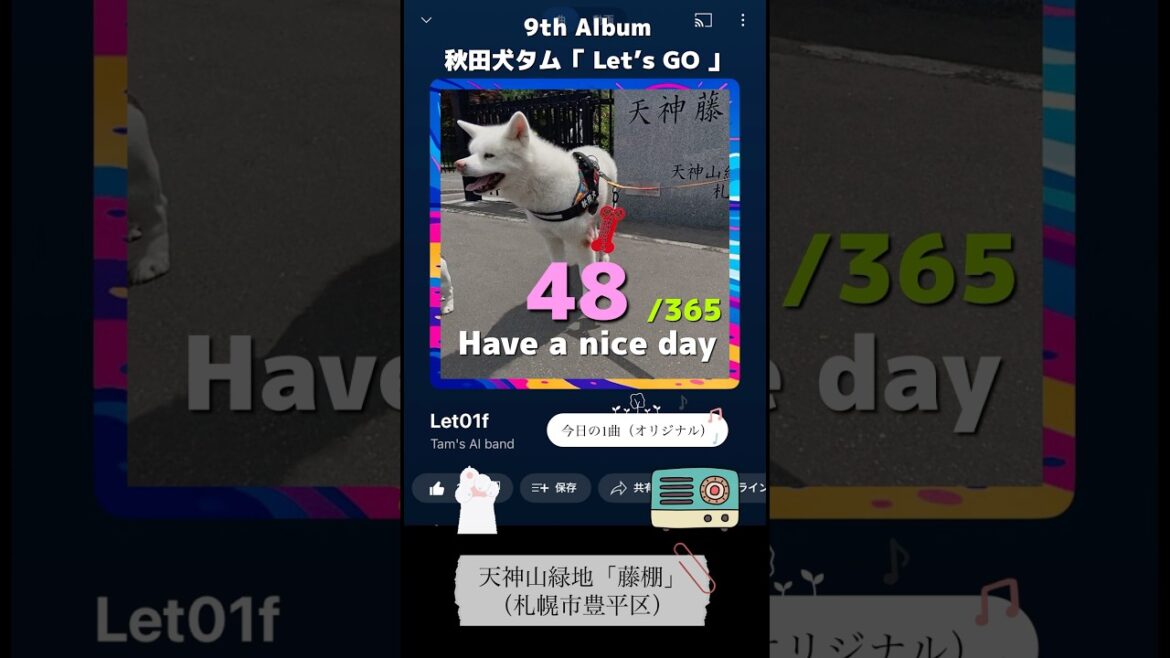 秋田犬タム：天神山緑地「天神藤」（札幌市豊平区）9th秋田犬タム Let’s GO / Tam’s AI band