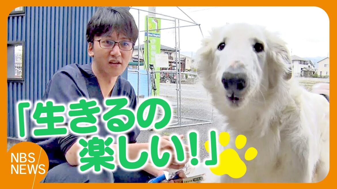 「わがまま最高」生きる喜びを取り戻しました