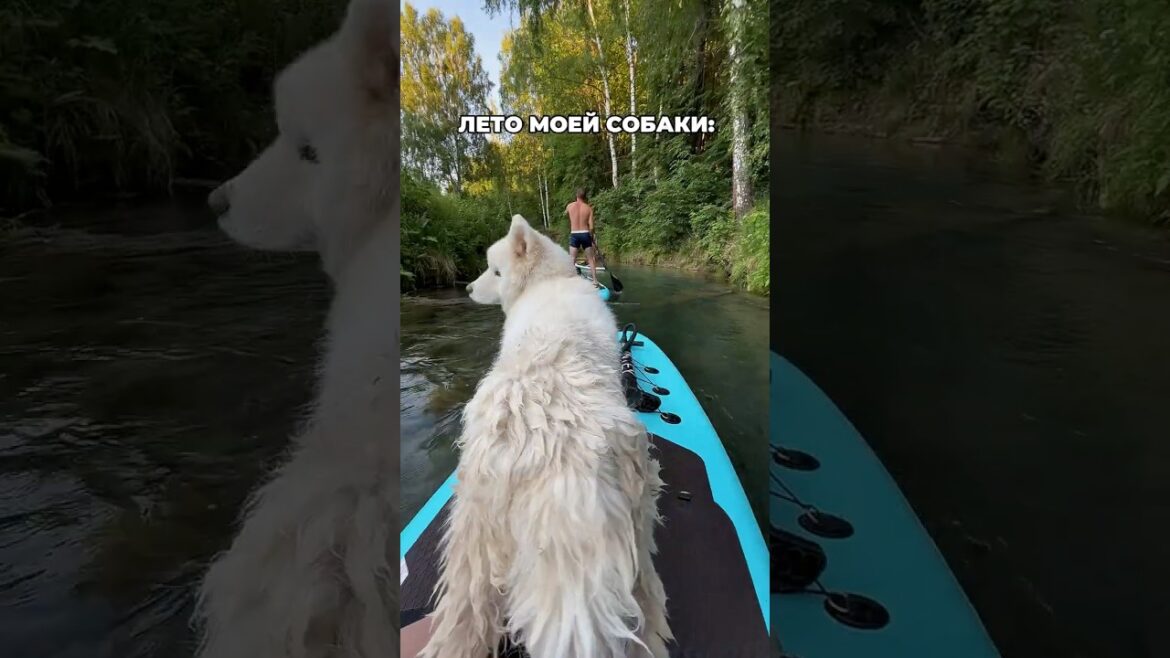 Какие планы у вас на лето?