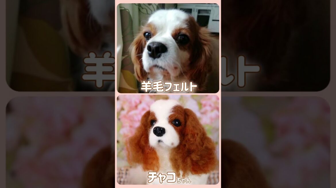 【わたしも会いたかったよ♫short ver.】羊毛フェルトオーダー作品 キャバリアのチャコちゃん🌈#羊毛フェルト#キャバリア#癒し#ハンドメイド 【わたしも会いたかったよ♫short ver.】羊毛フェルトオーダー作品 キャバリアのチャコちゃん🌈#羊毛フェルト#キャバリア#癒し#ハンドメイド