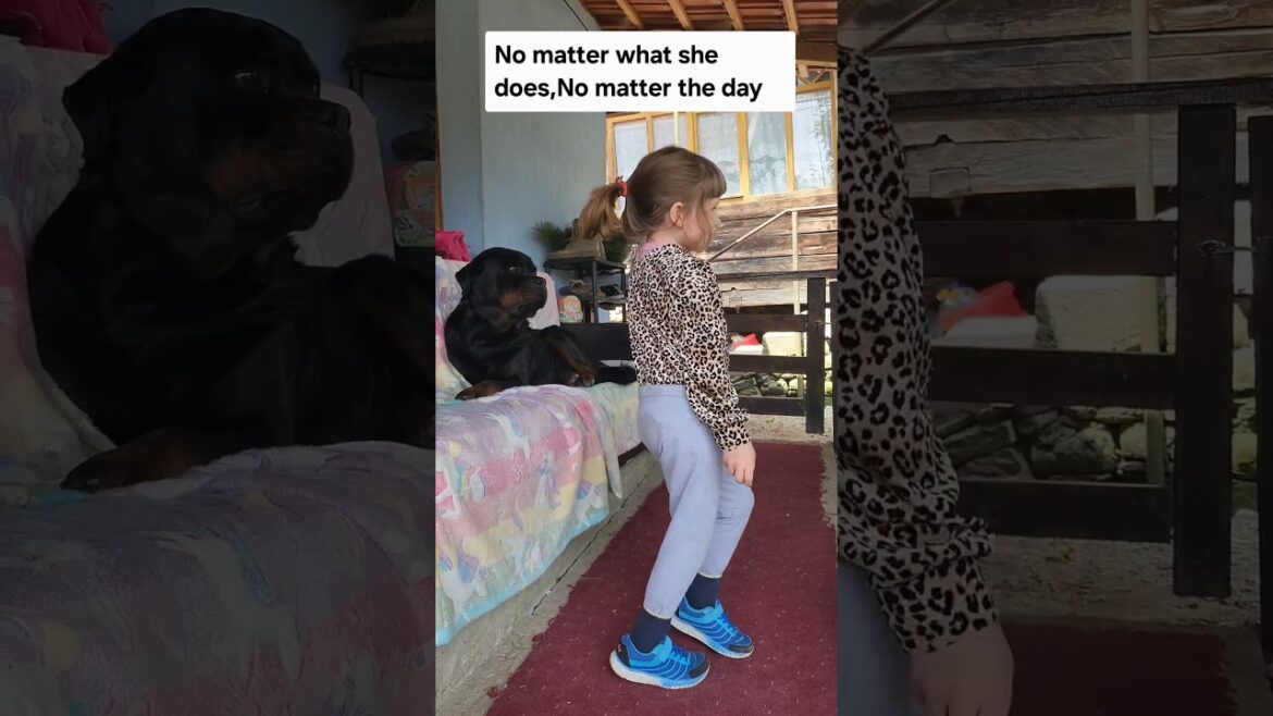 Rottweiler’s Calm Watch as Girl Dances Joyfully 🐾✨ Rottweiler’s Calm Watch as Girl Dances Joyfully 🐾✨