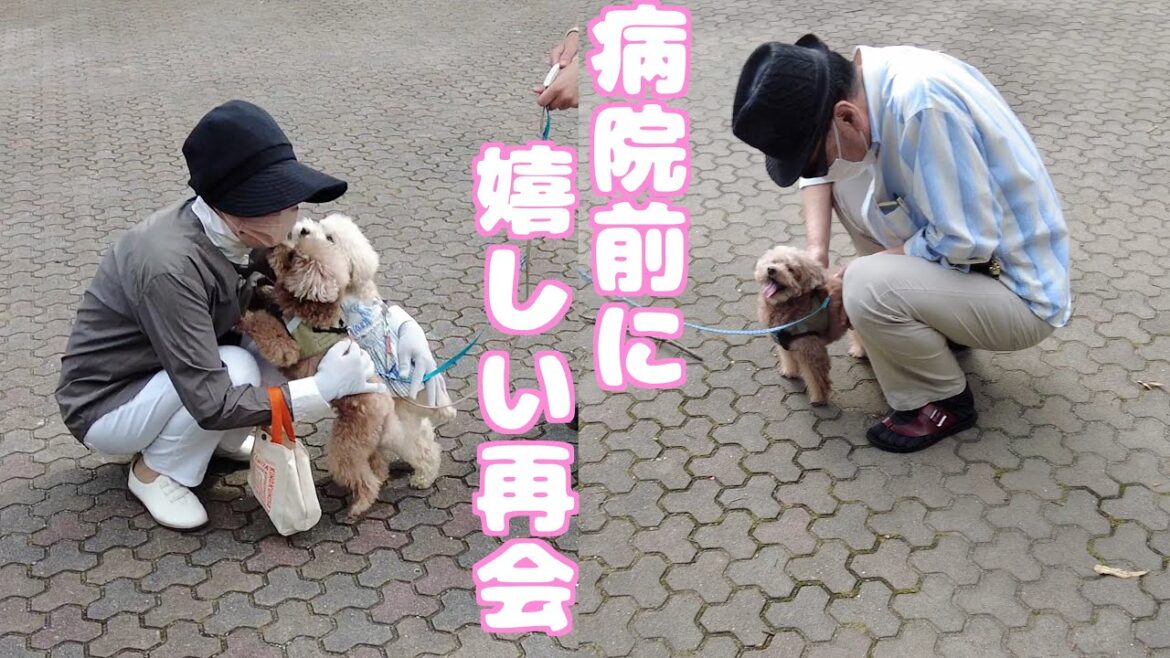 大学病院前に大好きなジィジとバァバに元気を貰いに行ってきました！