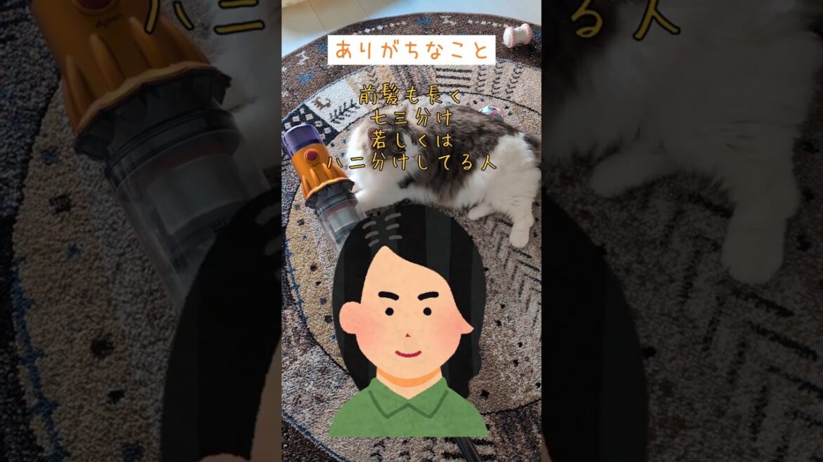 ロングヘアーで前髪ない人9割がこれ🤣 #shorts #short #cat #猫 #ねこ #マンチカン #ノルウェージャンフォレストキャット #ロングヘアー #あるある #髪型 #前髪  #고양이