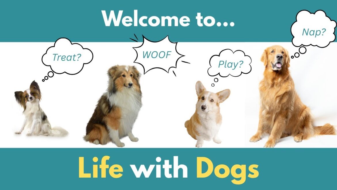 Welcome to Life with Dogs channel