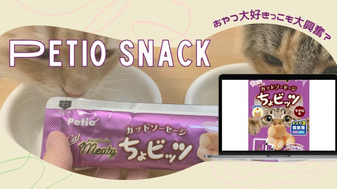 【メインクーン/ラガマフィン】PETIOのバラエティパックはおいしいの？（ちょビッツ編）