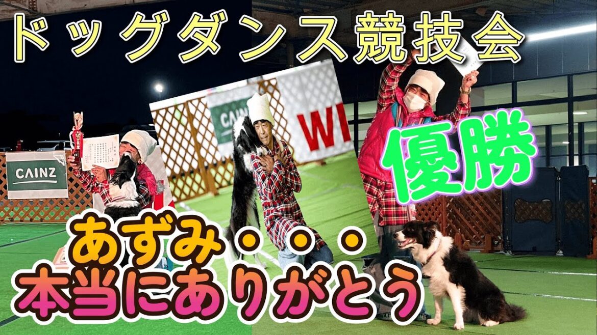 ドッグダンス競技会　～大切な人の為に踊る～　#ハイエース #ボーダーコリー #犬とお出かけ #ドッグダンス #脳出血
