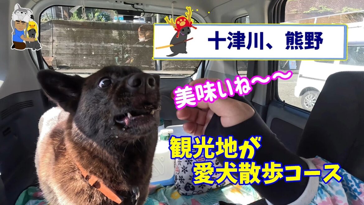 十八番の十津川・熊野コースをめぐるモデル愛犬　甲斐犬いち