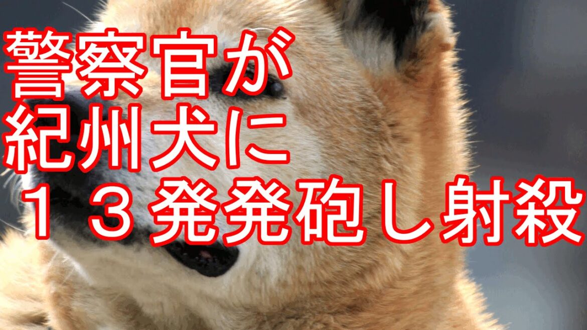 警察官が人襲った体長１２０センチ「紀州犬」に１３発発砲し射殺 住民 テレビ番組かと…