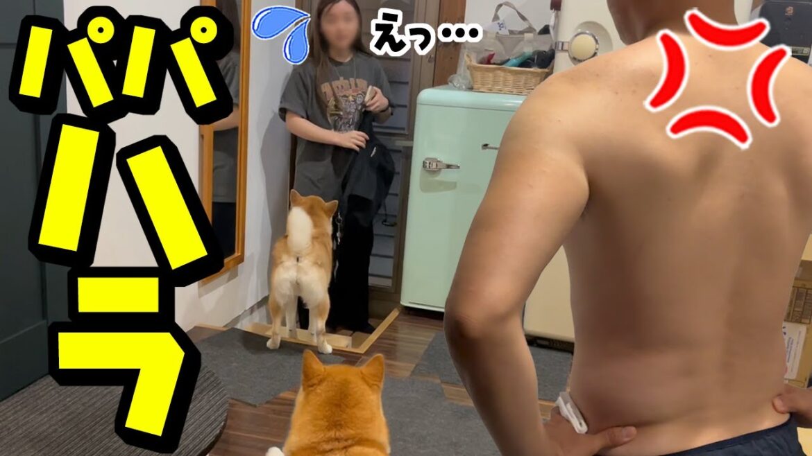 帰りが遅い娘を心配しパパが壊れましたwwwドン引きする柴犬