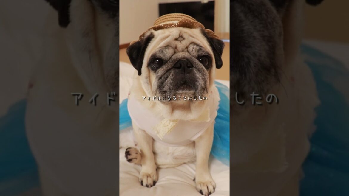 のど自慢コンテストに出場する母