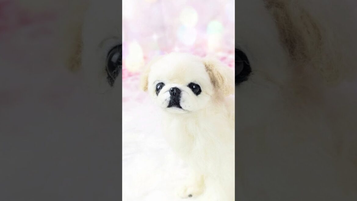 【ずっと一緒にいたい♫ Short ver.】羊毛フェルトオーダー作品 ペキニーズのレオちゃん。#羊毛フェルト #ペキニーズ#癒し #ペット
