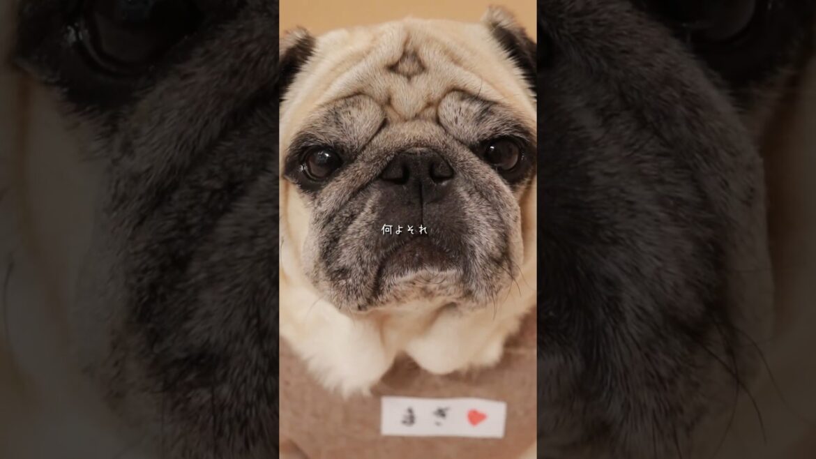 コンビニのバイトを始めた母