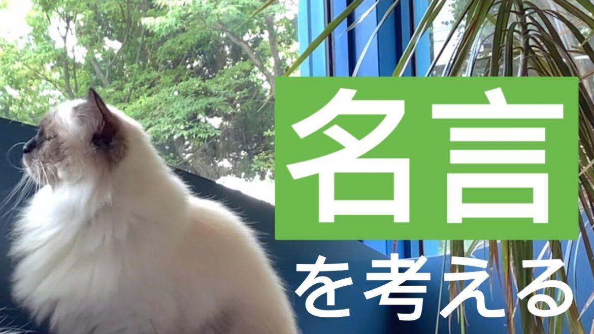 ことわざ、ダジャレ、四文字熟語【天使たちの名言】（バーマン猫）Birman/Cat