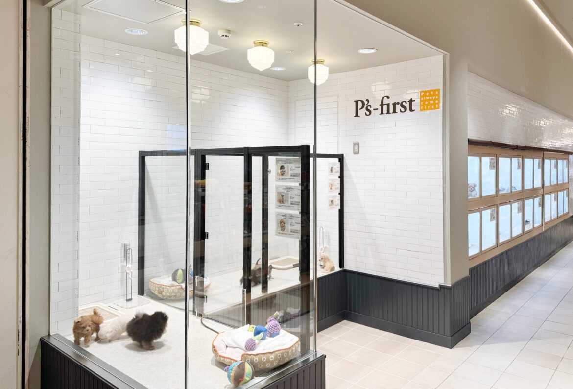P’s-first豊洲店 オープンのお知らせ | ペッツファーストホールディングス株式会社のプレスリリース