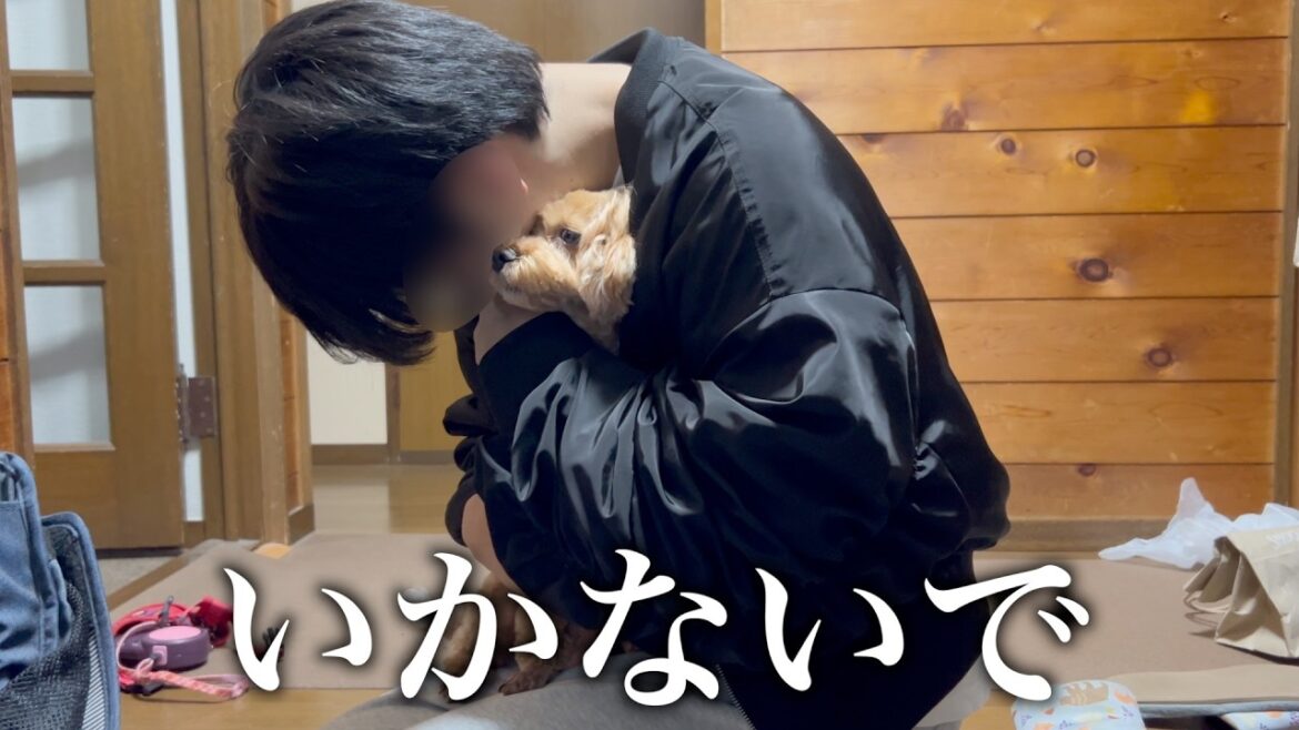 弟が実家を旅立つ日。まるで一生のお別れのように悲しむ姿に胸が締め付けられました…