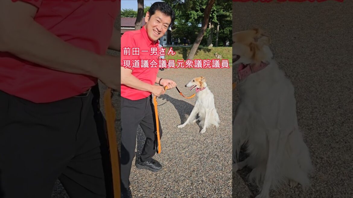 前田一男さんとツーショット #borzoi #ボルゾイ #ルナ  #前田一男 #衆議院議員 #道議会議員 #五稜郭公園 #ラジオ体操 #shorts