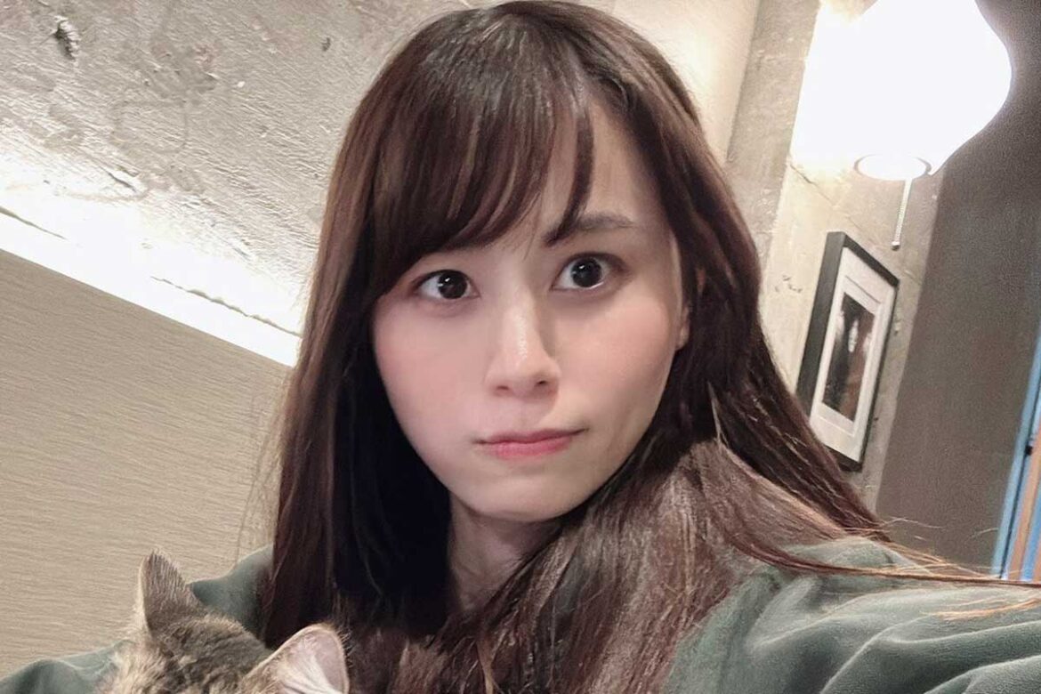 あま猫【写真：X（@amanecco_cars）より】
