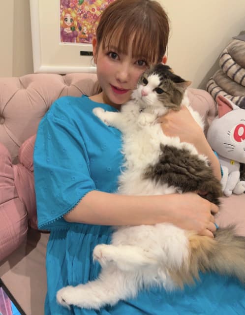「おはイカ耳さん」中川翔子が愛猫とのツーショットを披露 – スポーツブル 「おはイカ耳さん」中川翔子が愛猫とのツーショットを披露 - スポーツブル