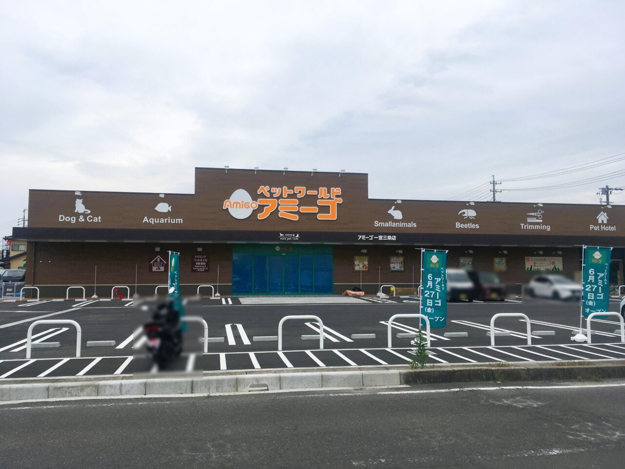 ペットアミーゴオープン予定