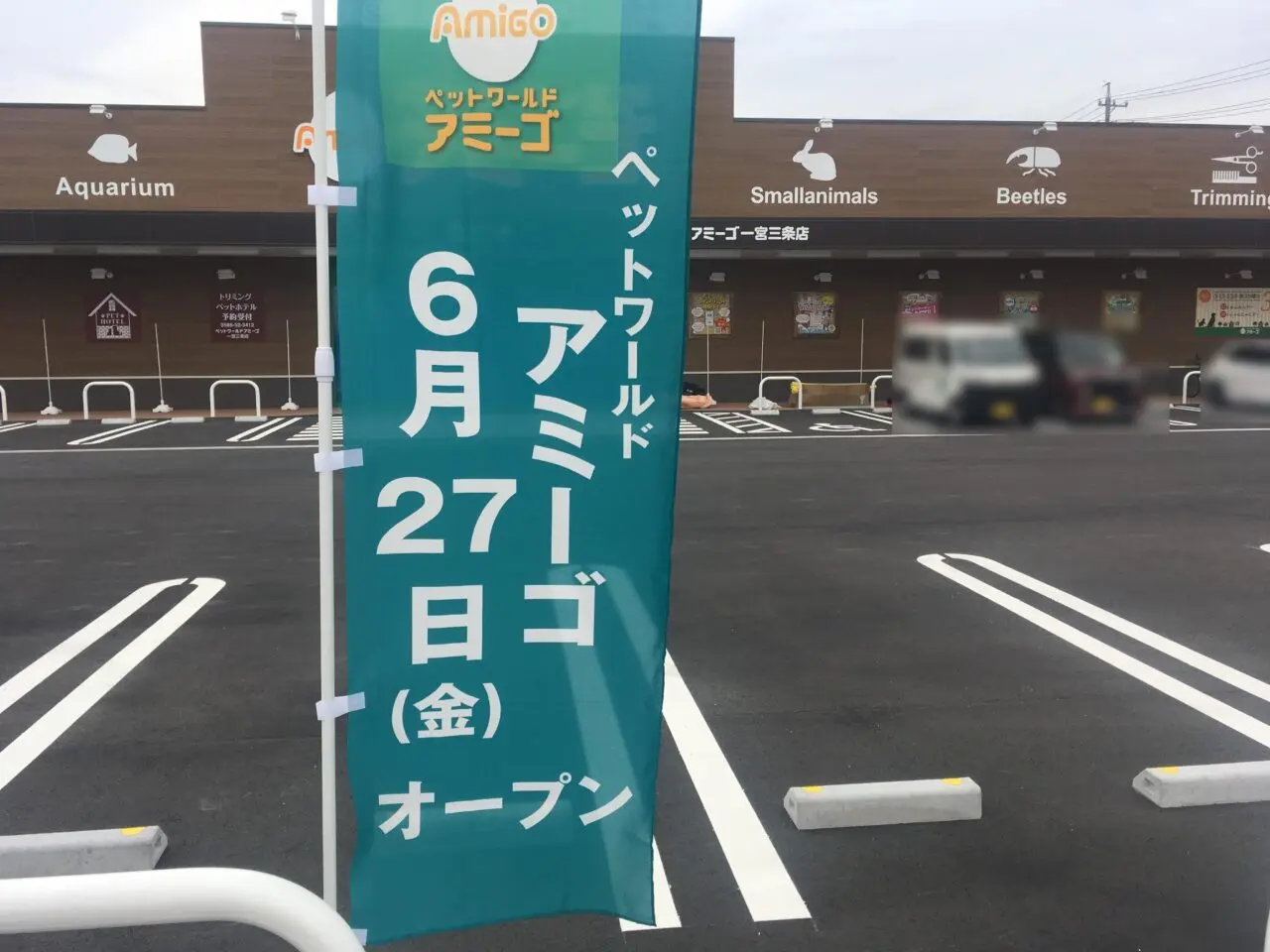 ペットアミーゴオープン予定