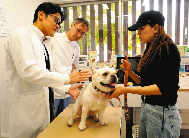 犬の皮膚トラブル 特別診療 前橋市内の「おおとね動物病院」 愛知のクリニックと提携