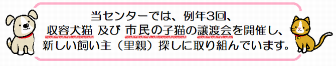 犬や猫の譲渡会を開催しますの画像