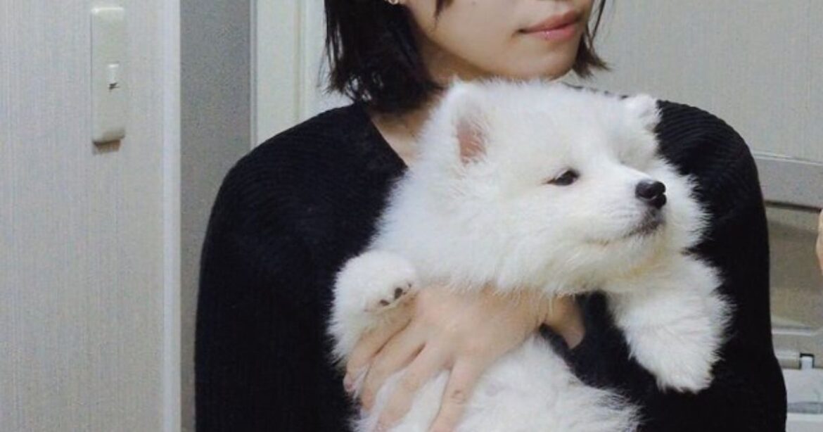 9カ月の愛犬を抱っこしたら……「事実を受け止められない」　飼い主びっくりのビフォーアフターに「あらぁー」「大変ですねぇ」（1/3） | 犬 ねとらぼ - ねとらぼ