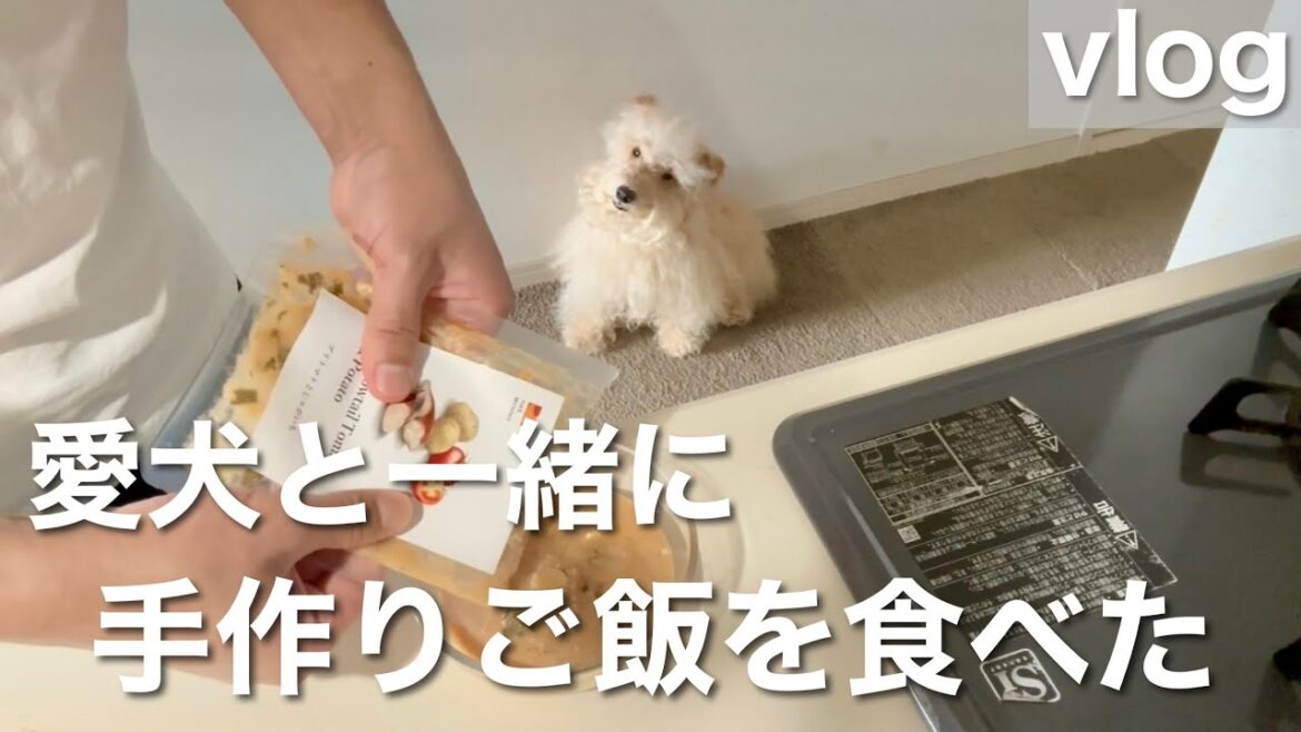愛犬と一緒に手作りご飯を食べた!テリア 愛犬と一緒に手作りご飯を食べた!テリア