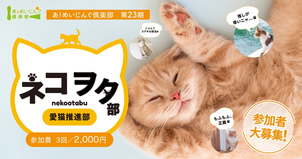 あ！めいじんぐ倶楽部 第23期 猫との暮らしのQOLを劇的に向上！『ネコヲタ（愛猫推進）部』参加者募集【明治産業】 | 株式会社明治産業のプレスリリース