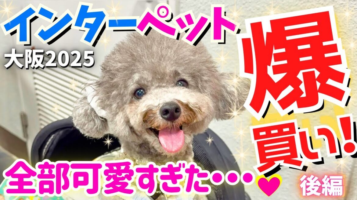 【インターペット2025大阪】爆買い祭！最新かわいい商品完売続出✨日本最大級の318社＆厳選24社(後編)