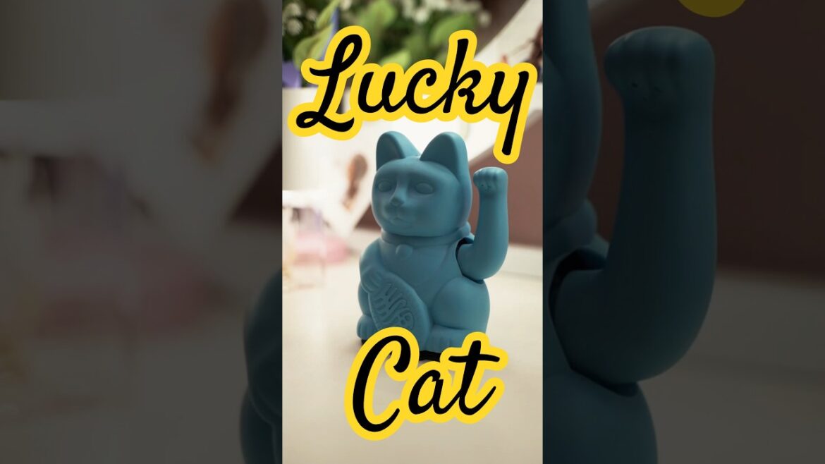Japan Cat Japan Cat