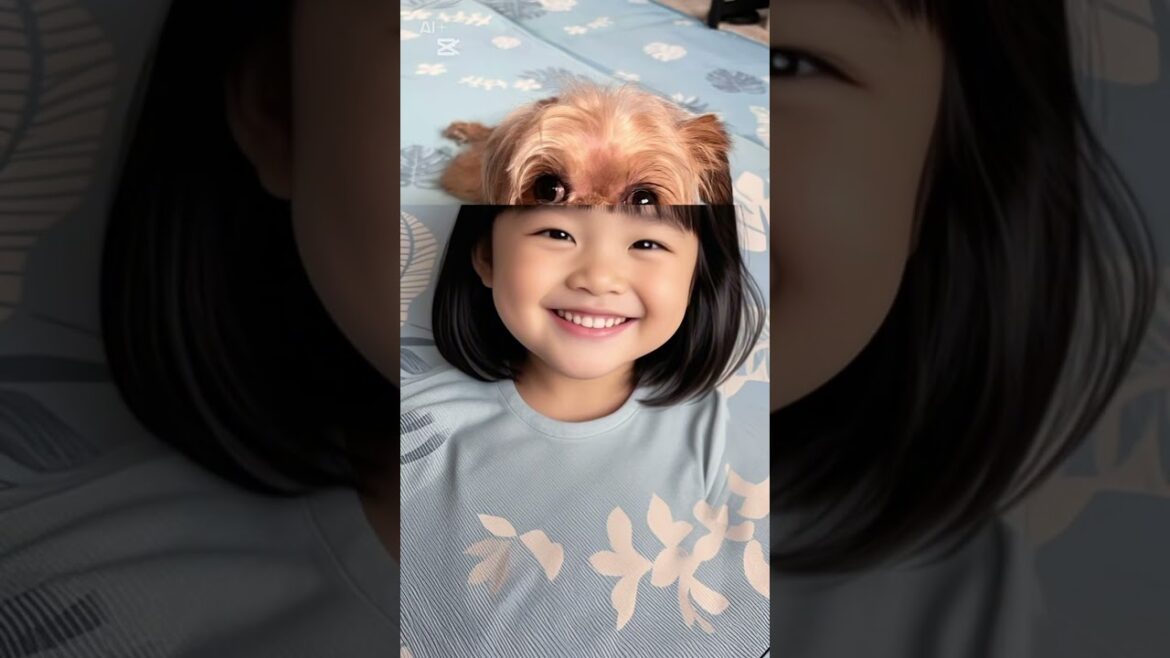 我が家のブリュッセルグリフォンのわらびちゃん💗人でもやっぱり可愛い😍 #ワンダフルパピー #ブリュッセルグリフォン