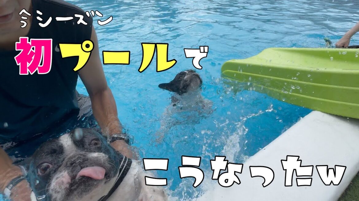 今シーズン初のプールでみんな最強に可愛い泳ぎを魅せてくれました！