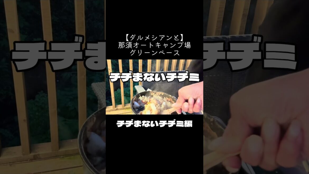 チヂまないチヂミ。【ダルメシアンと】那須オートキャンプ場グリーンベース　#shorts #ダルメシアン #わんこ連れキャンプ #大型犬 #キャンプ
