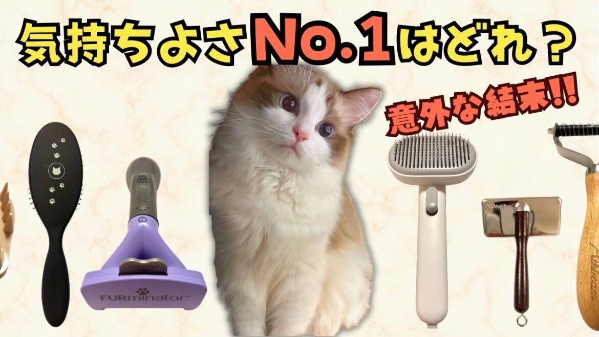 【猫ブラシNo.1はこれ！】素材別、人気ブラシ6種を比較！猫が選んだ1番気持ちいいブラシ♪｜あたち日記#13